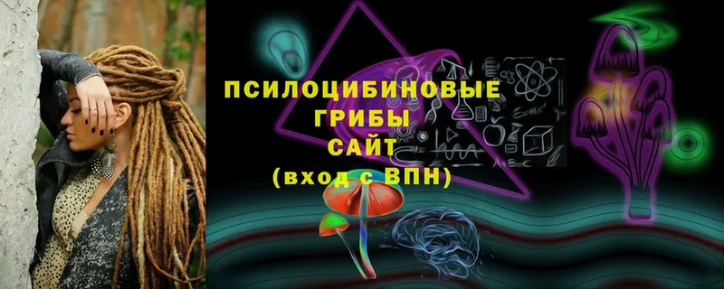 Псилоцибиновые грибы MAGIC MUSHROOMS  где продают   Бобров 